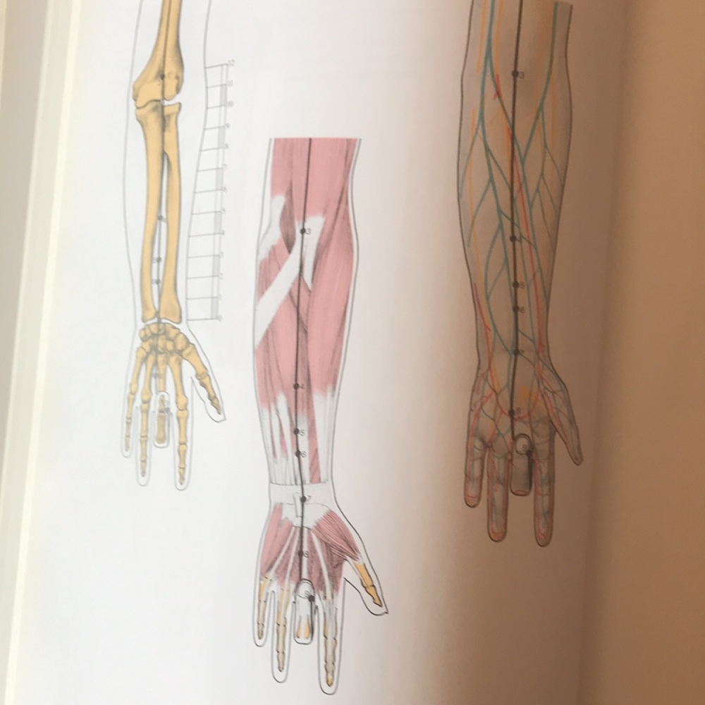 Traditional Chinese ACUPUNCTURE hardback lrge illustrated book newish dustcover - Picture 5 of 12